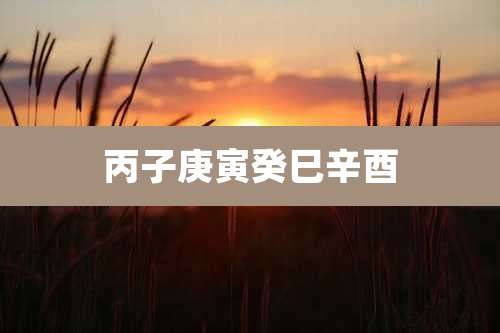 丙子庚寅癸巳辛酉