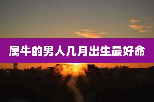 属牛的男人几月出生最好命