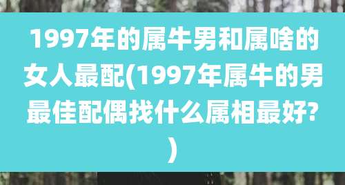 1997年的属牛男和属啥的女人最配(1997年属牛的男最佳配偶找什么属相最好?)
