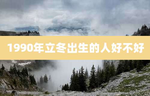 1990年立冬出生的人好不好