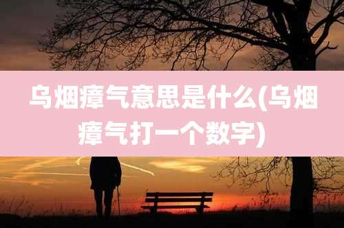 乌烟瘴气意思是什么(乌烟瘴气打一个数字)