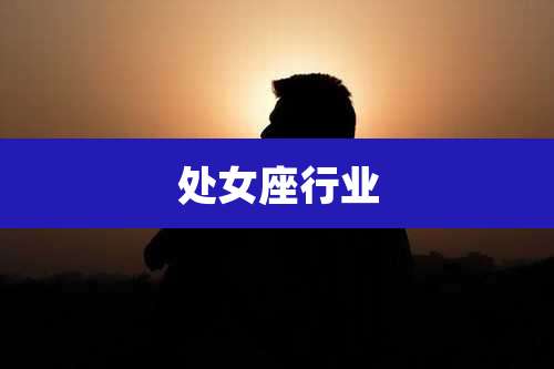 处女座行业