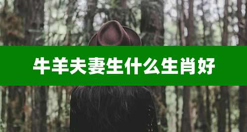牛羊夫妻生什么生肖好