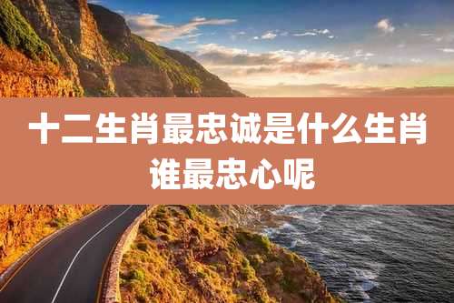 十二生肖最忠诚是什么生肖 谁最忠心呢