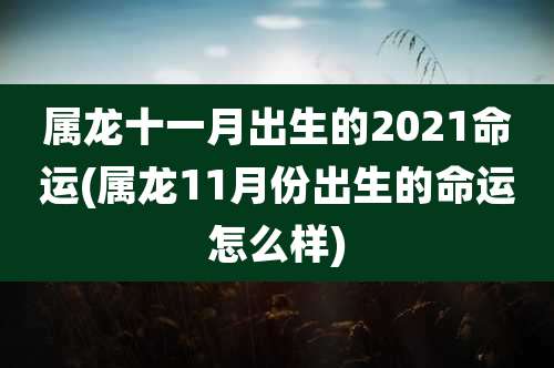 属龙十一月出生的2021命运(属龙11月份出生的命运怎么样)