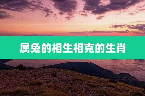 属兔的相生相克的生肖