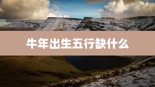 牛年出生五行缺什么