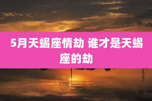 5月天蝎座情劫 谁才是天蝎座的劫