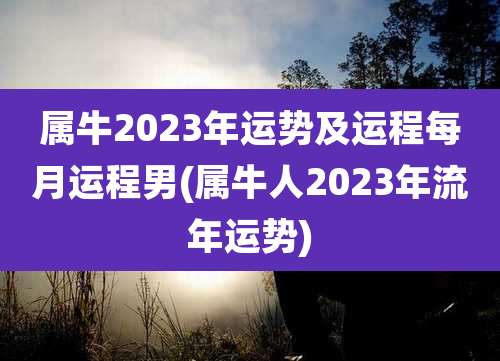 属牛2023年运势及运程每月运程男(属牛人2023年流年运势)