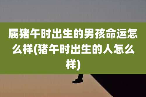 属猪午时出生的男孩命运怎么样(猪午时出生的人怎么样)