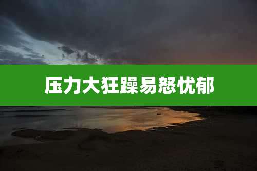 压力大狂躁易怒忧郁