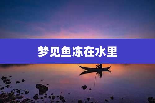 梦见鱼冻在水里