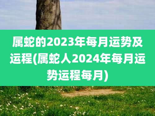 属蛇的2023年每月运势及运程(属蛇人2024年每月运势运程每月)
