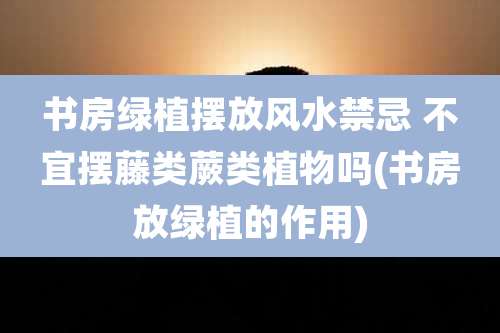 书房绿植摆放风水禁忌 不宜摆藤类蕨类植物吗(书房放绿植的作用)