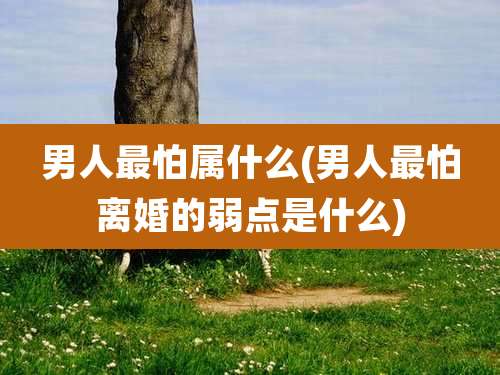 男人最怕属什么(男人最怕离婚的弱点是什么)