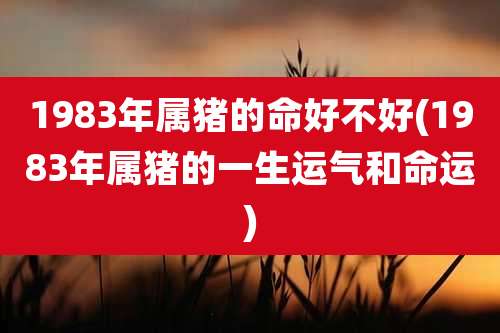 1983年属猪的命好不好(1983年属猪的一生运气和命运)