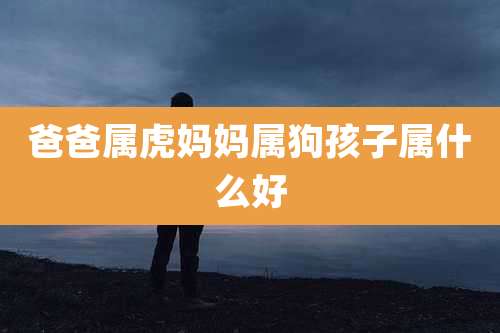 爸爸属虎妈妈属狗孩子属什么好