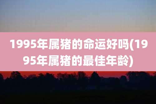 1995年属猪的命运好吗(1995年属猪的最佳年龄)