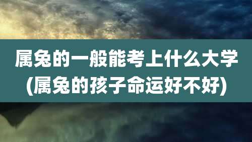 属兔的一般能考上什么大学(属兔的孩子命运好不好)