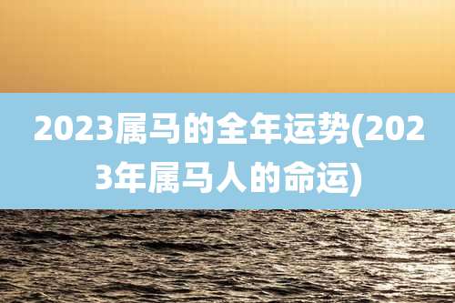 2023属马的全年运势(2023年属马人的命运)