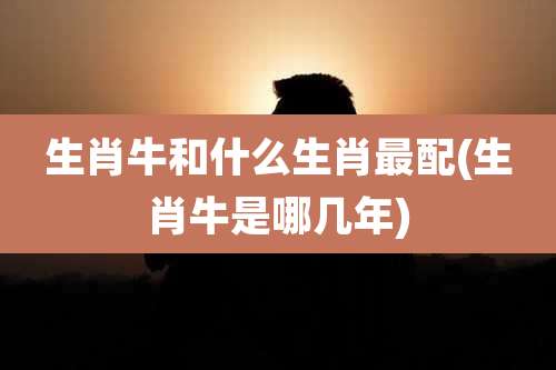 生肖牛和什么生肖最配(生肖牛是哪几年)