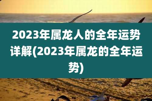 2023年属龙人的全年运势详解(2023年属龙的全年运势)