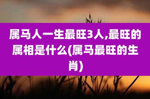属马人一生最旺3人,最旺的属相是什么(属马最旺的生肖)