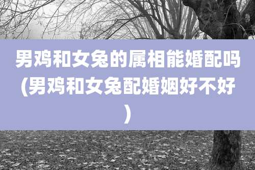 男鸡和女兔的属相能婚配吗(男鸡和女兔配婚姻好不好)