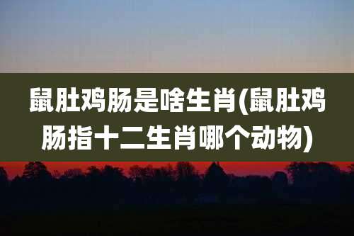 鼠肚鸡肠是啥生肖(鼠肚鸡肠指十二生肖哪个动物)