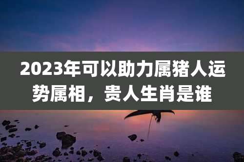 2023年可以助力属猪人运势属相，贵人生肖是谁