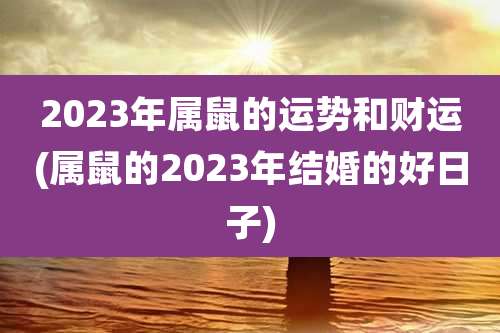 2023年属鼠的运势和财运(属鼠的2023年结婚的好日子)