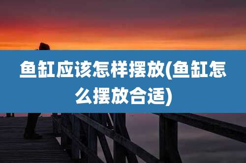 鱼缸应该怎样摆放(鱼缸怎么摆放合适)