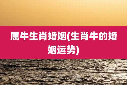 属牛生肖婚姻(生肖牛的婚姻运势)