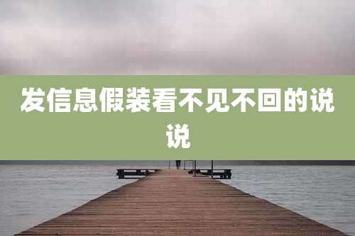 发信息假装看不见不回的说说