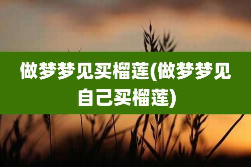 做梦梦见买榴莲(做梦梦见自己买榴莲)