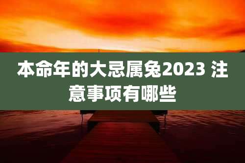 本命年的大忌属兔2023 注意事项有哪些