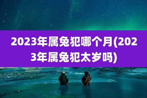 2023年属兔犯哪个月(2023年属兔犯太岁吗)