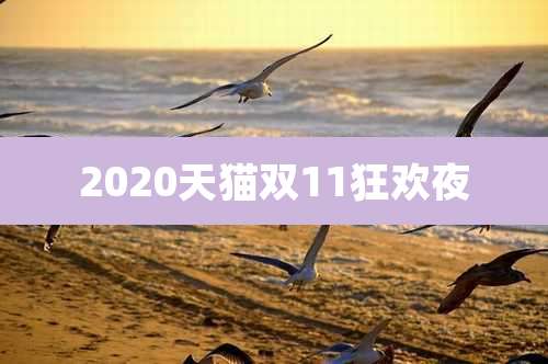 2020天猫双11狂欢夜