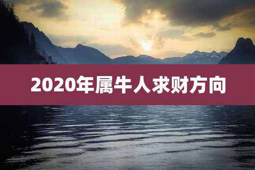 2020年属牛人求财方向