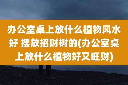 办公室桌上放什么植物风水好 摆放招财树的(办公室桌上放什么植物好又旺财)