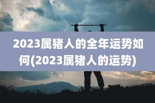 2023属猪人的全年运势如何(2023属猪人的运势)