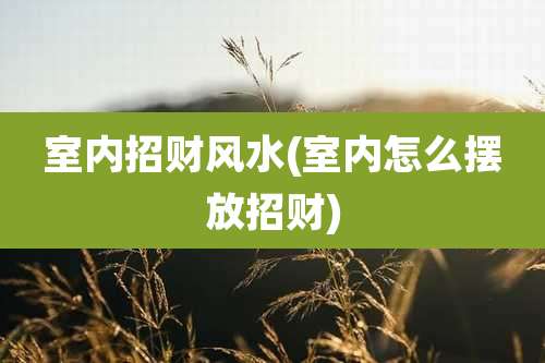 室内招财风水(室内怎么摆放招财)