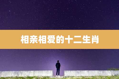 相亲相爱的十二生肖