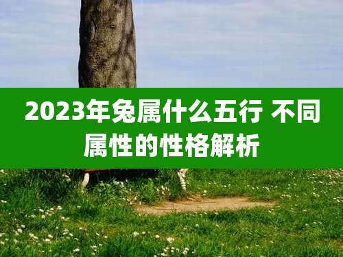 2023年兔属什么五行 不同属性的性格解析