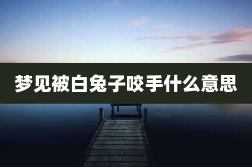 梦见被白兔子咬手什么意思