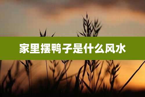 家里摆鸭子是什么风水