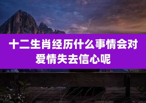 十二生肖经历什么事情会对爱情失去信心呢