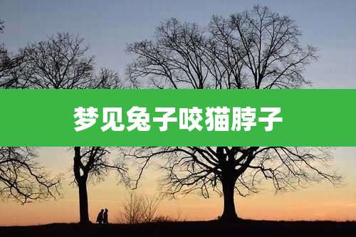 梦见兔子咬猫脖子