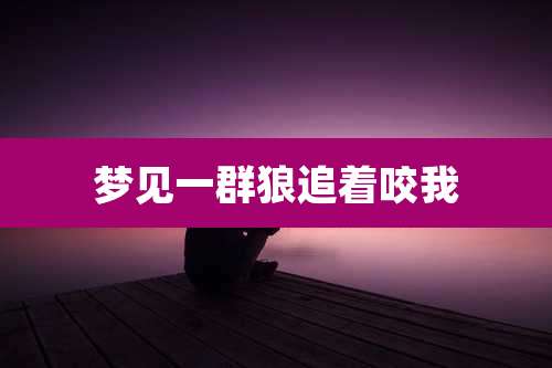 梦见一群狼追着咬我
