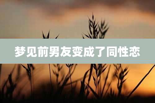 梦见前男友变成了同性恋
